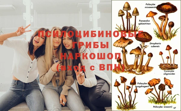 ALPHA PVP Осташков