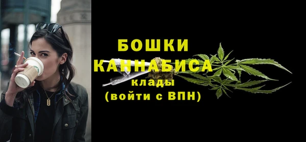 СК Волосово