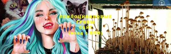 ALPHA PVP Осташков