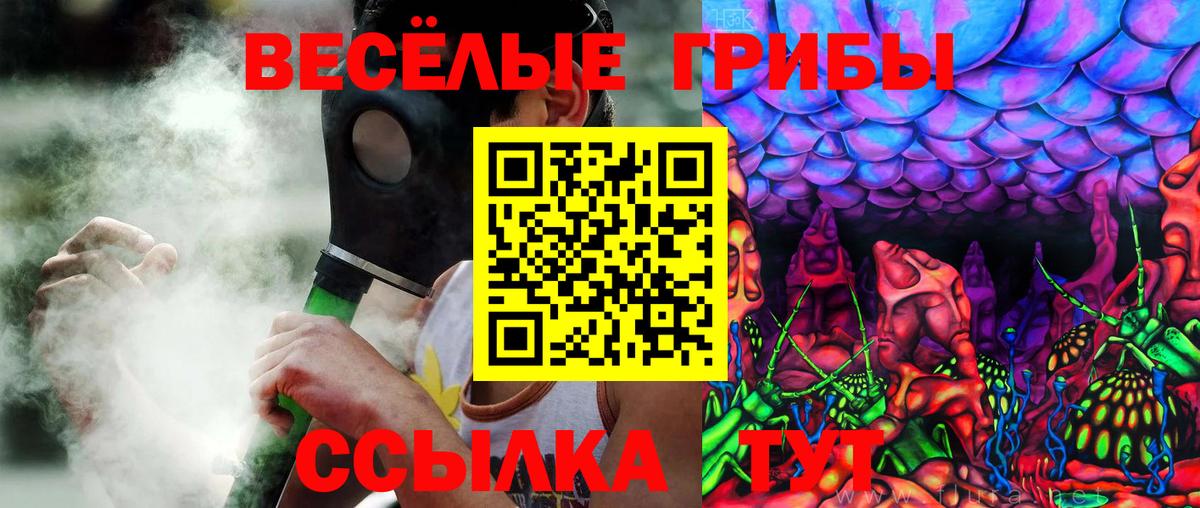 Псилоцибиновые грибы GOLDEN TEACHER  Вход с VPN  Старая Русса 